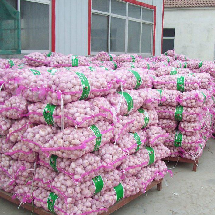 20kg Mesh Bag Garlic Loose Pacakge