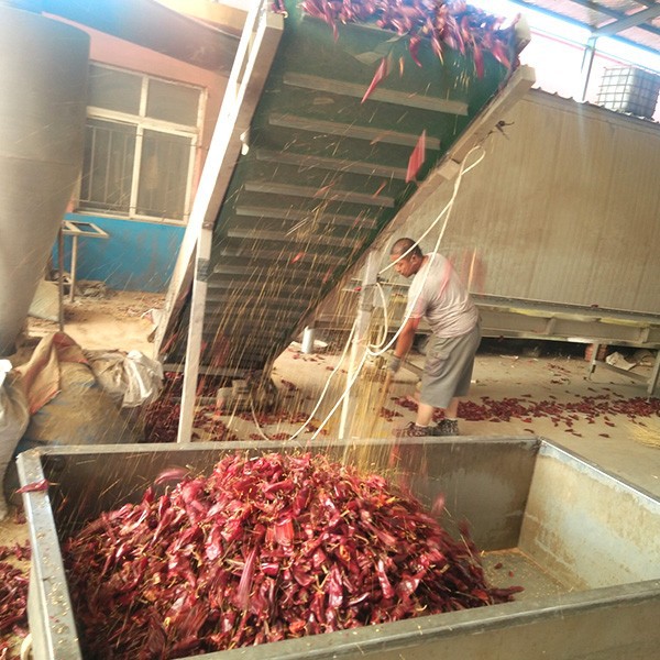 Dry Red Chilli Pepper 2021 best