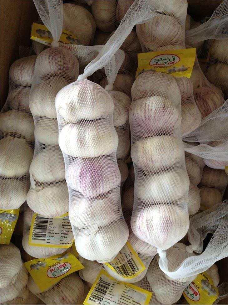 China Red Garlic Red Skin Garlic Origin