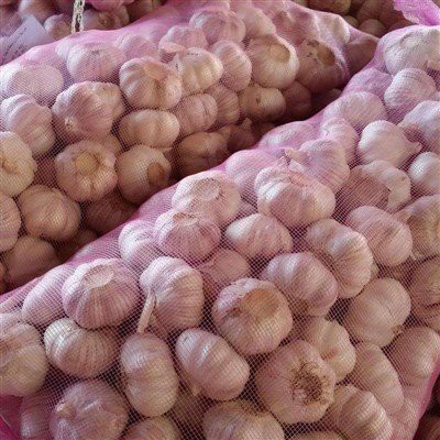 2021 High Quality Fresh Normal White Garlic 500g