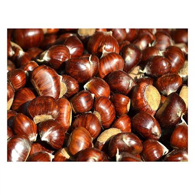 Fresh Organic Chesnut Mesh Bag