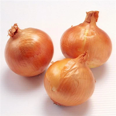 Fresh Orgnic 20kg Packing Yellow Onion