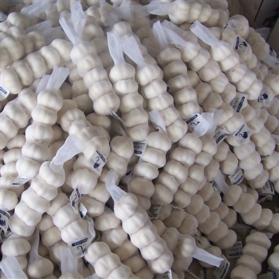 Frozen New Crop Normal White Garlic Export