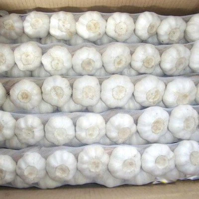 White Skin Fresh Garlic Braid